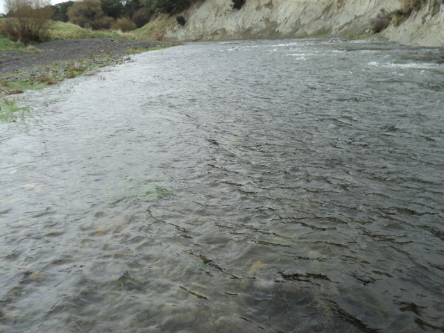 Name:  picture 8588.jpg
Views: 306
Size:  164.9 KB