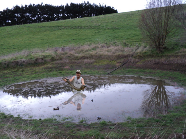 Name:  Dundee.jpg
Views: 321
Size:  155.2 KB
