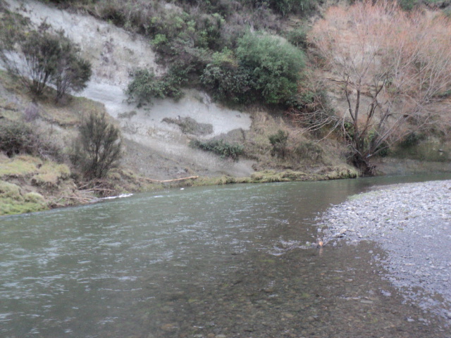 Name:  picture 8892.jpg
Views: 357
Size:  162.2 KB