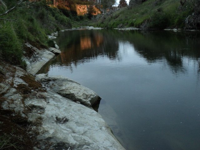 Name:  picture 735.jpg
Views: 288
Size:  165.0 KB