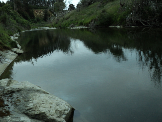 Name:  picture 733.jpg
Views: 318
Size:  163.1 KB