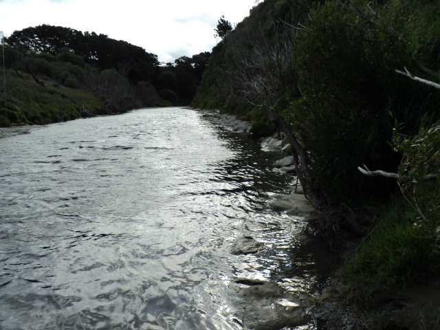 Name:  picture 739.jpg
Views: 288
Size:  164.5 KB
