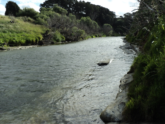 Name:  picture 737.jpg
Views: 249
Size:  164.8 KB