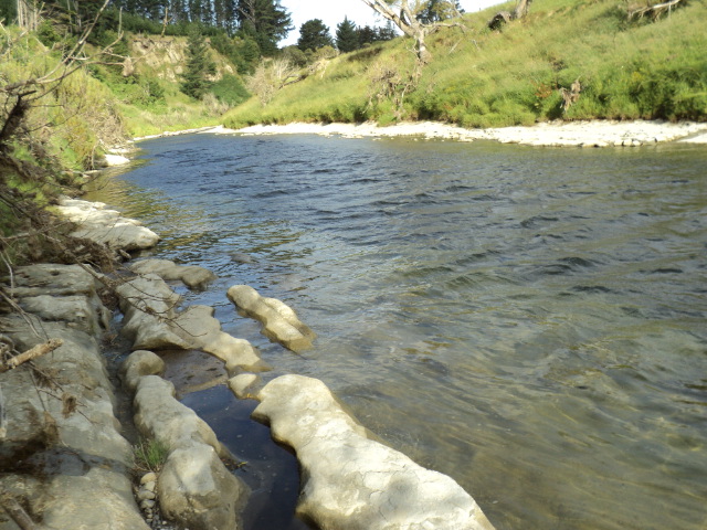 Name:  picture 738.jpg
Views: 244
Size:  165.2 KB