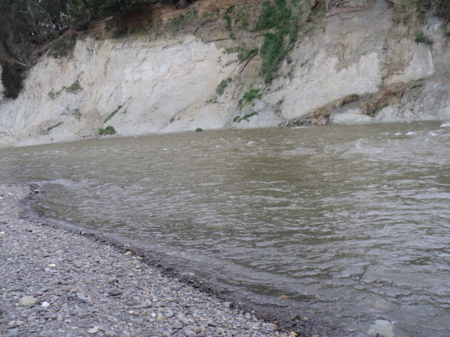 Name:  picture 9140.jpg
Views: 401
Size:  164.5 KB