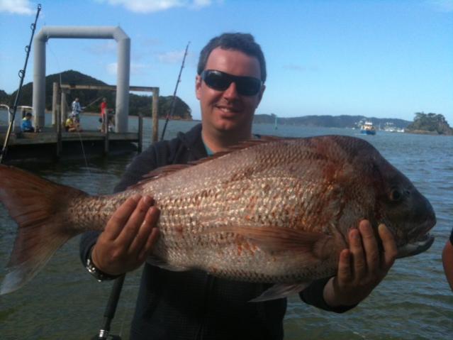 Name:  snapper.jpg
Views: 258
Size:  35.8 KB