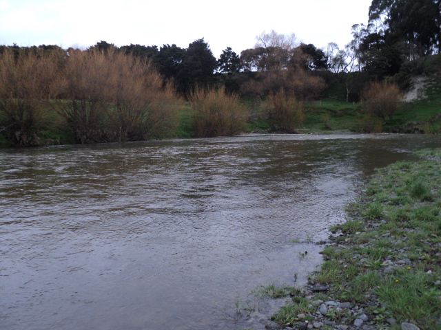 Name:  picture 9142.jpg
Views: 360
Size:  164.3 KB