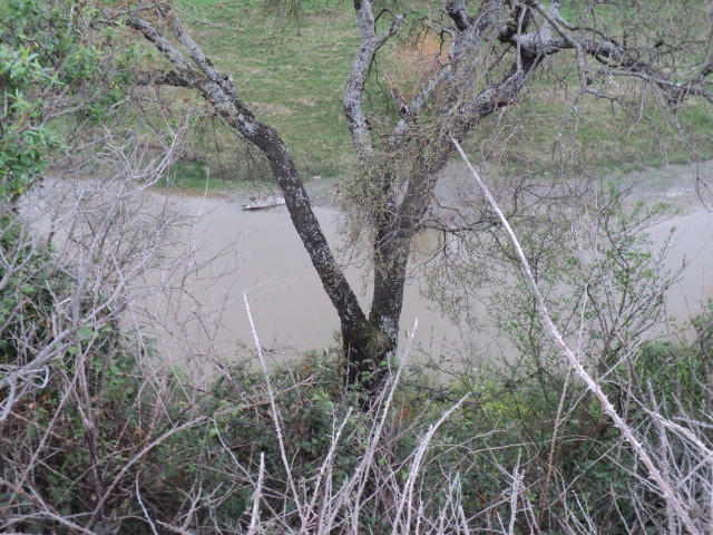 Name:  picture 9147.jpg
Views: 268
Size:  165.2 KB