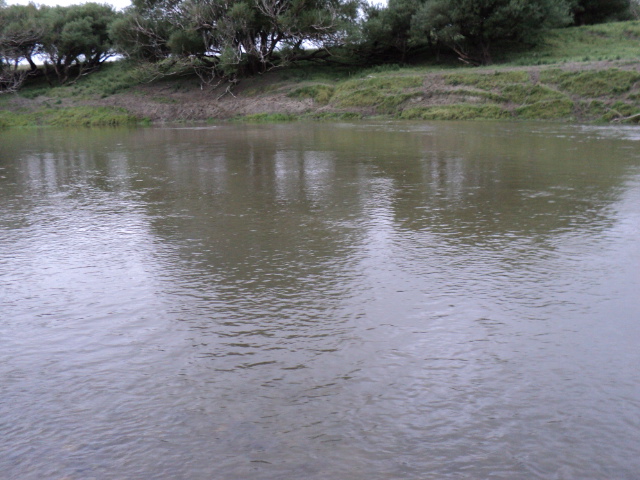 Name:  picture 826.jpg
Views: 1368
Size:  162.8 KB