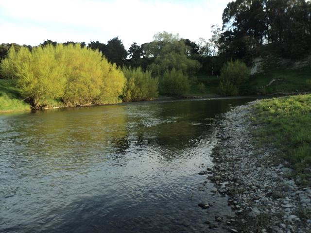 Name:  picture 9263.jpg
Views: 258
Size:  165.0 KB
