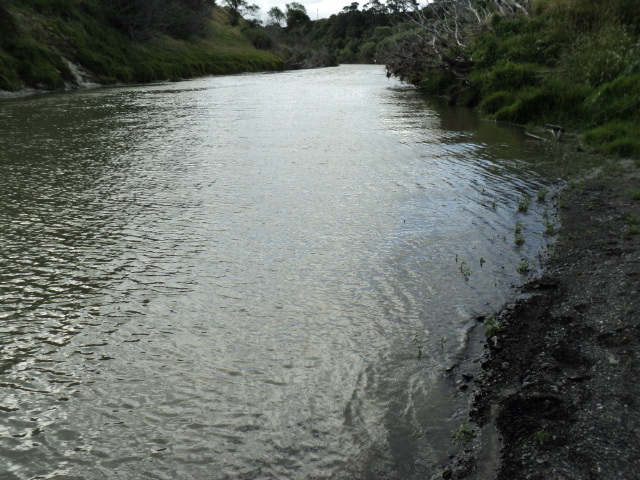 Name:  picture 850.jpg
Views: 330
Size:  165.2 KB