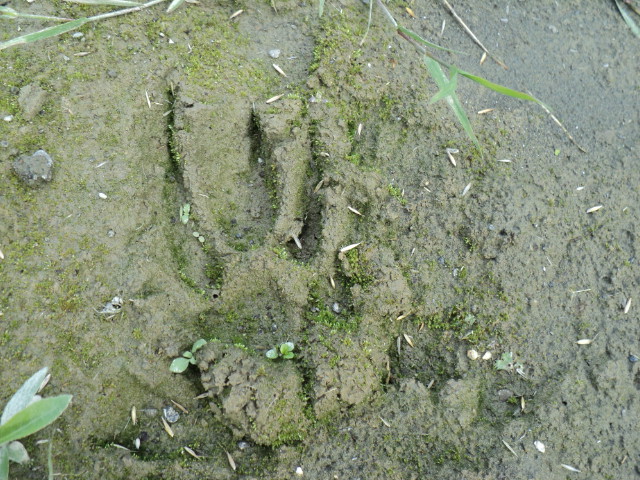 Name:  picture 851.jpg
Views: 343
Size:  164.8 KB