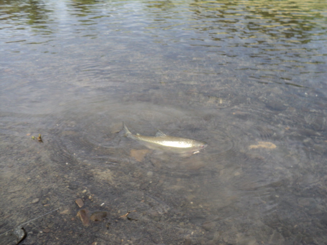 Name:  picture 9282.jpg
Views: 248
Size:  163.1 KB