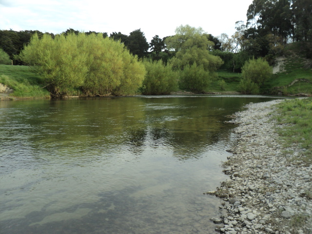 Name:  picture 9286.jpg
Views: 245
Size:  164.1 KB