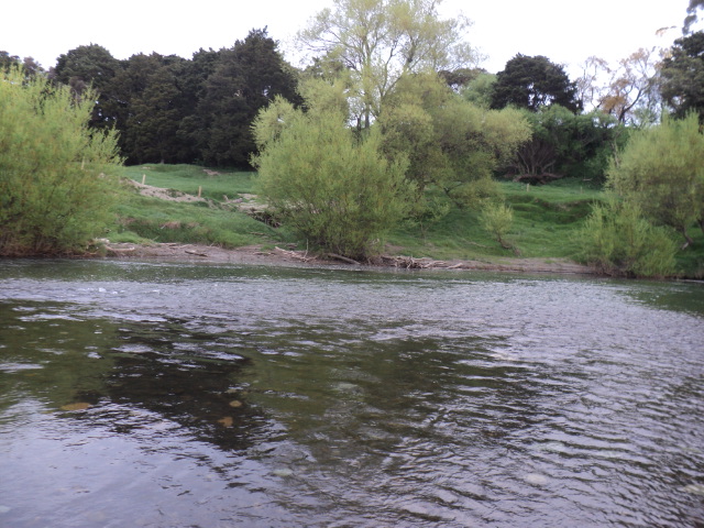 Name:  picture 9287.jpg
Views: 241
Size:  165.3 KB