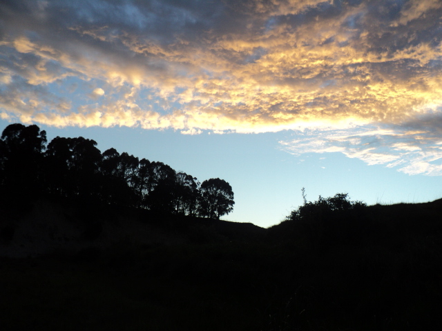 Name:  picture 9293.jpg
Views: 233
Size:  164.0 KB