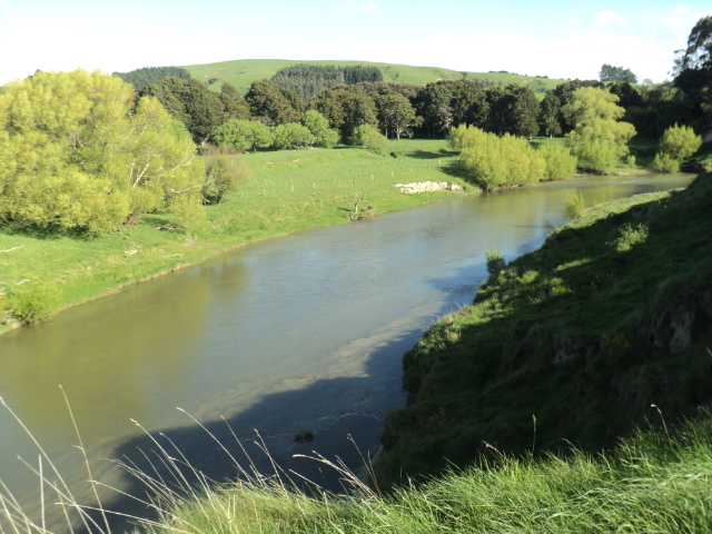 Name:  picture 9303.jpg
Views: 227
Size:  164.4 KB