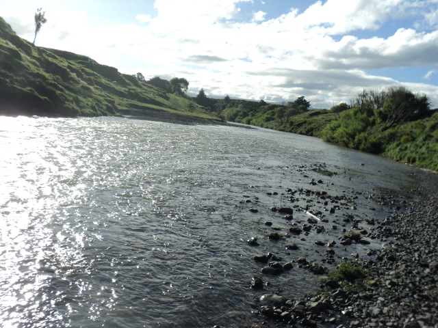 Name:  picture 9306.jpg
Views: 229
Size:  165.2 KB