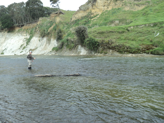 Name:  picture 9311.jpg
Views: 209
Size:  164.6 KB