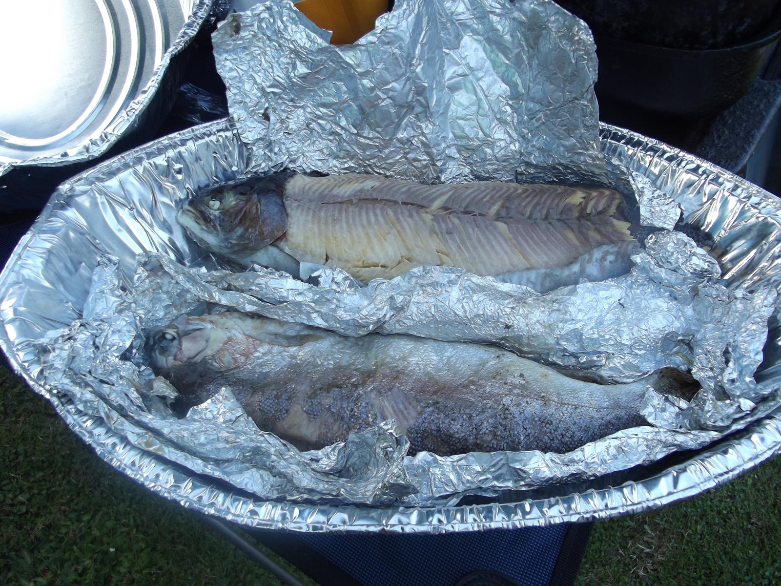 Name:  DSCF0087.JPG
Views: 331
Size:  403.2 KB