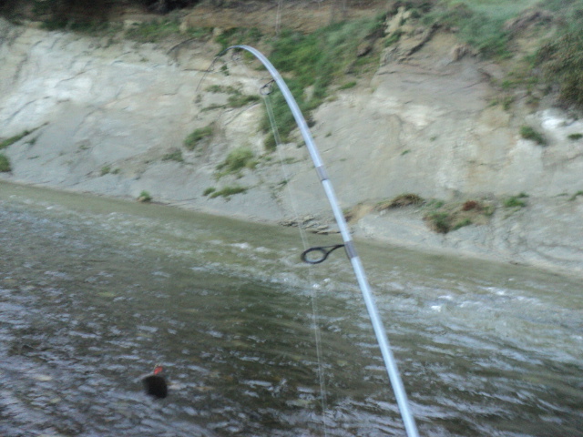 Name:  picture 9368.jpg
Views: 198
Size:  163.4 KB