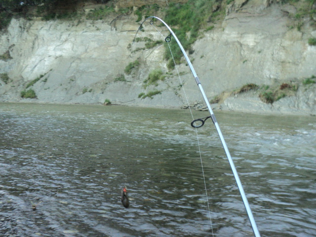 Name:  picture 9369.jpg
Views: 182
Size:  163.6 KB