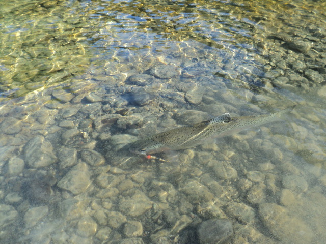 Name:  picture 9412.jpg
Views: 158
Size:  163.9 KB
