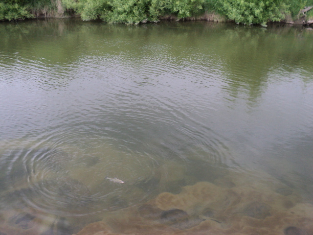 Name:  picture 9457.jpg
Views: 127
Size:  161.0 KB