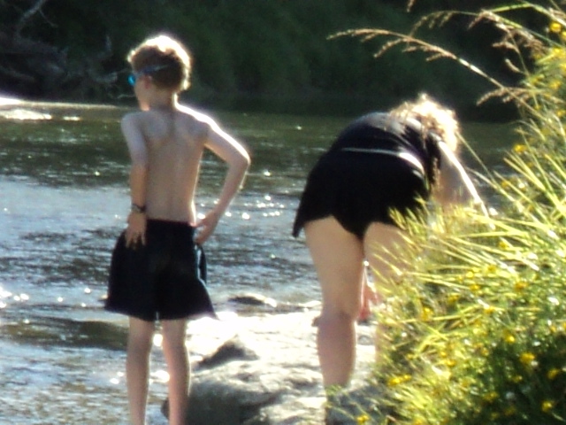 Name:  picture 890.jpg
Views: 423
Size:  164.3 KB