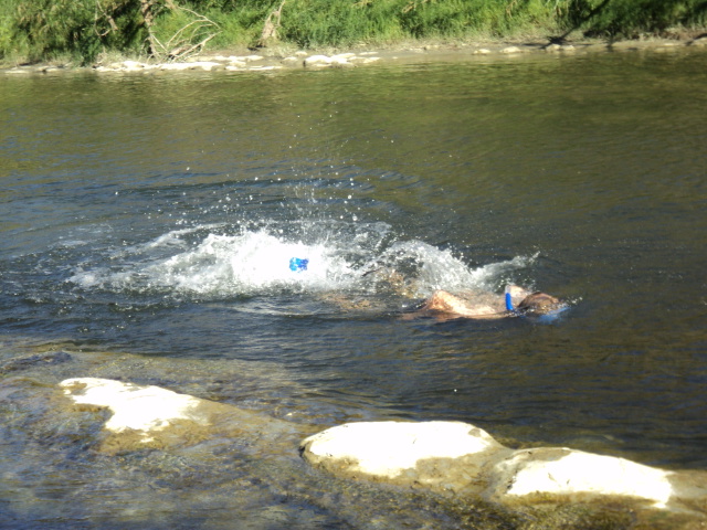 Name:  picture 893.jpg
Views: 460
Size:  162.5 KB