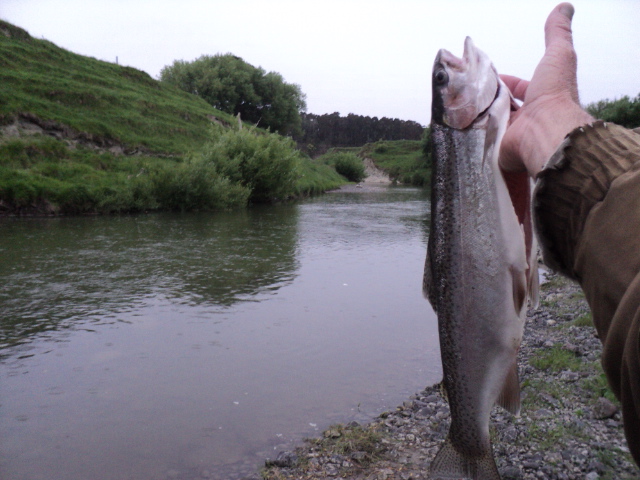 Name:  picture 9504.jpg
Views: 185
Size:  163.5 KB