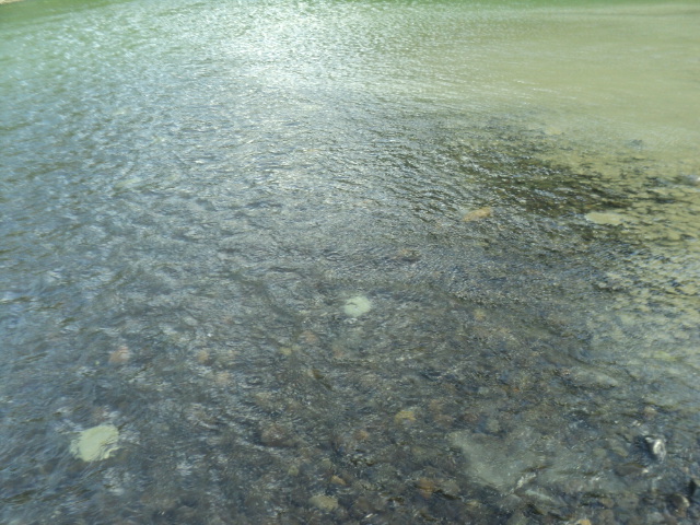 Name:  picture 9552.jpg
Views: 174
Size:  163.9 KB