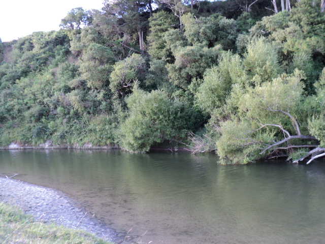 Name:  picture 924.jpg
Views: 359
Size:  163.6 KB