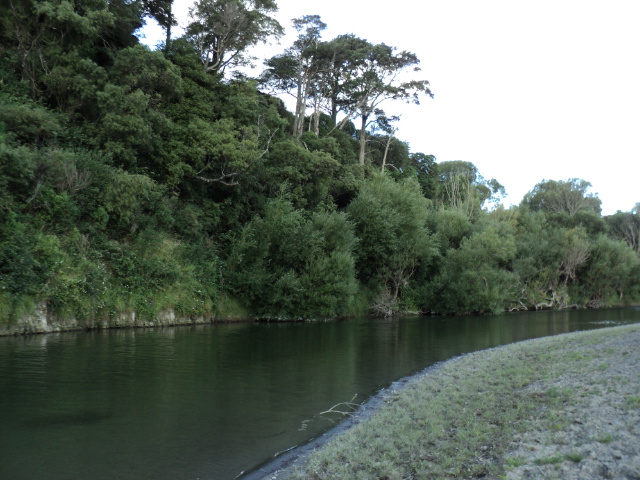 Name:  picture 925.jpg
Views: 341
Size:  165.2 KB