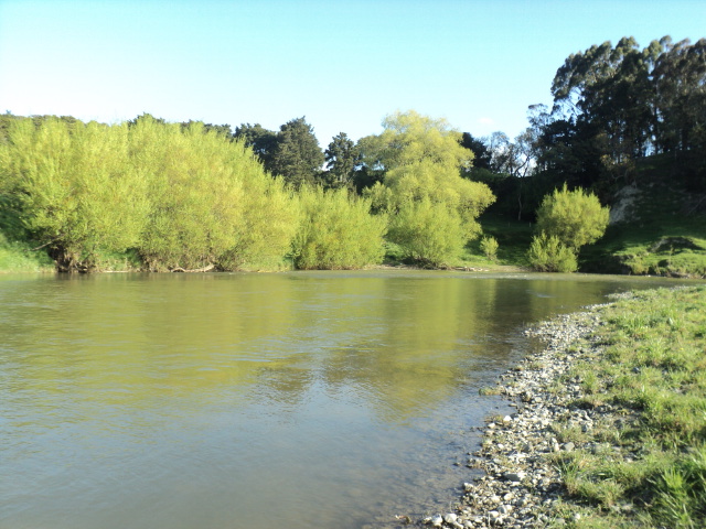 Name:  picture 9304.jpg
Views: 391
Size:  164.5 KB