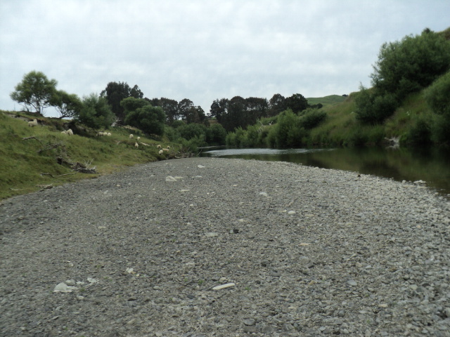 Name:  picture 9763.jpg
Views: 225
Size:  164.6 KB