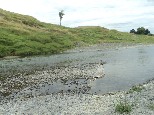 Name:  picture 9773.jpg
Views: 236
Size:  163.3 KB