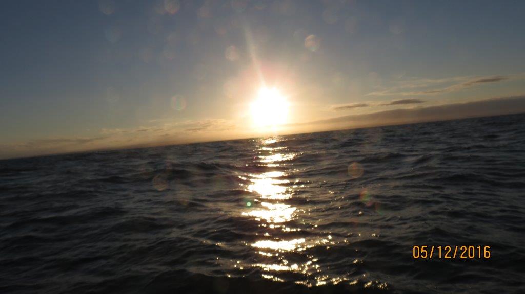 Name:  IMG_0959.JPG
Views: 305
Size:  59.6 KB