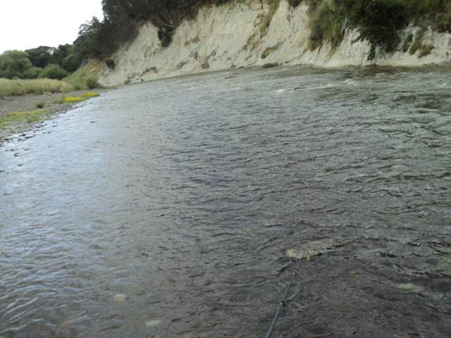 Name:  picture 9815.jpg
Views: 368
Size:  164.7 KB