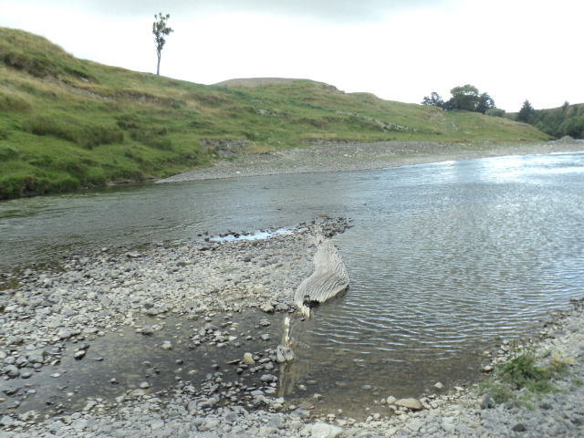 Name:  picture 9857.jpg
Views: 208
Size:  162.8 KB
