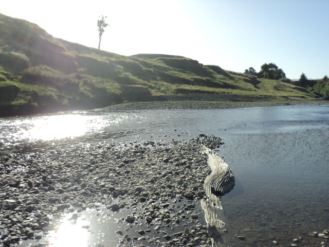 Name:  picture 9879.jpg
Views: 203
Size:  165.0 KB