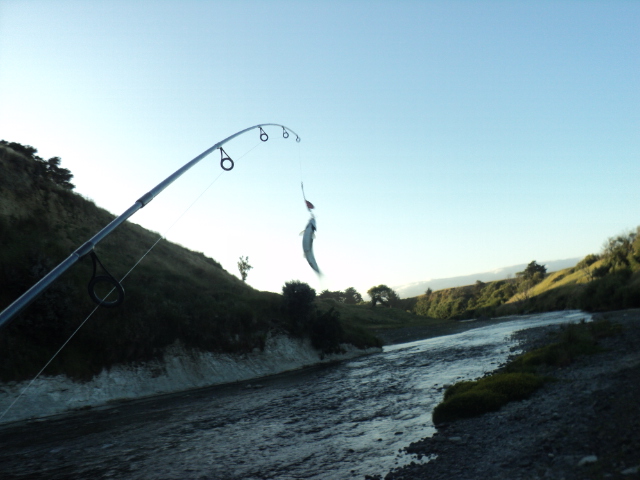 Name:  picture 9907.jpg
Views: 278
Size:  158.5 KB