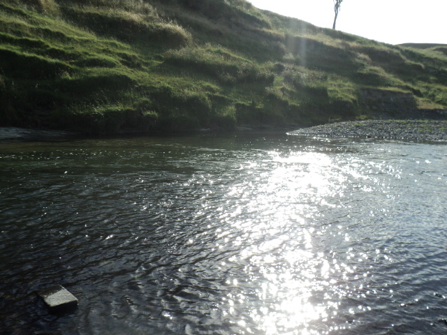 Name:  picture 9912.jpg
Views: 216
Size:  164.9 KB