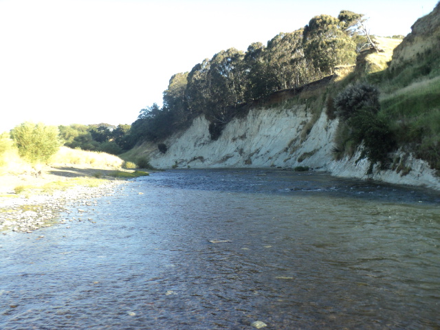 Name:  picture 9925.jpg
Views: 278
Size:  163.0 KB
