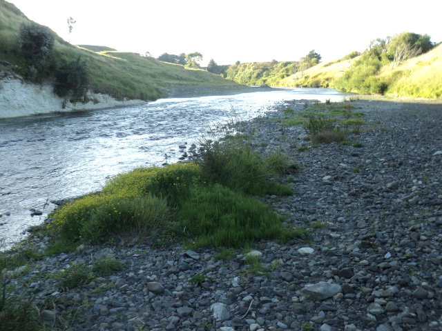 Name:  picture 9928.jpg
Views: 258
Size:  165.2 KB