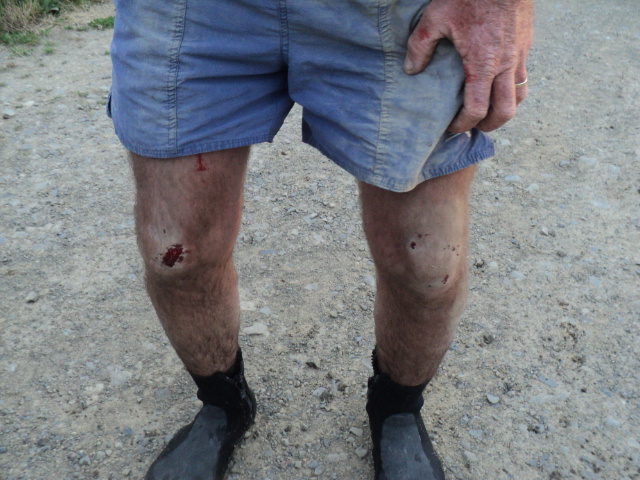 Name:  picture 10002.jpg
Views: 261
Size:  163.5 KB