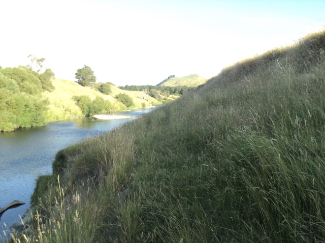 Name:  picture 10022.jpg
Views: 294
Size:  164.6 KB
