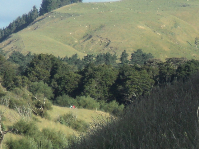 Name:  picture 10020.jpg
Views: 320
Size:  165.2 KB