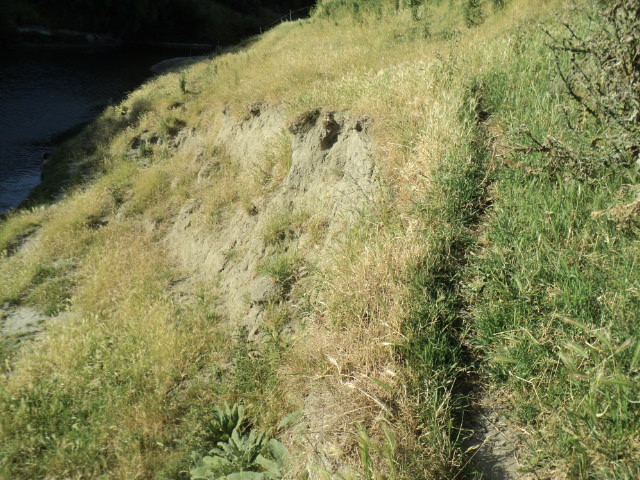 Name:  picture 10019.jpg
Views: 324
Size:  164.9 KB