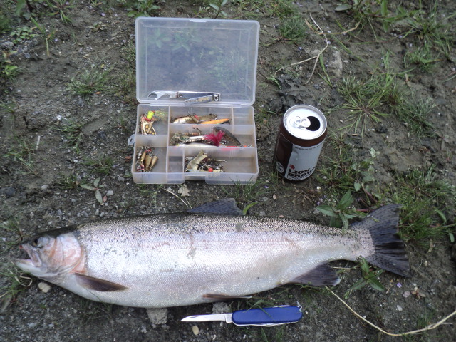 Name:  picture 10074.jpg
Views: 194
Size:  165.1 KB